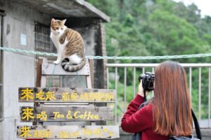 格安SIMを使った台湾旅行でのおすすめの利用法は？