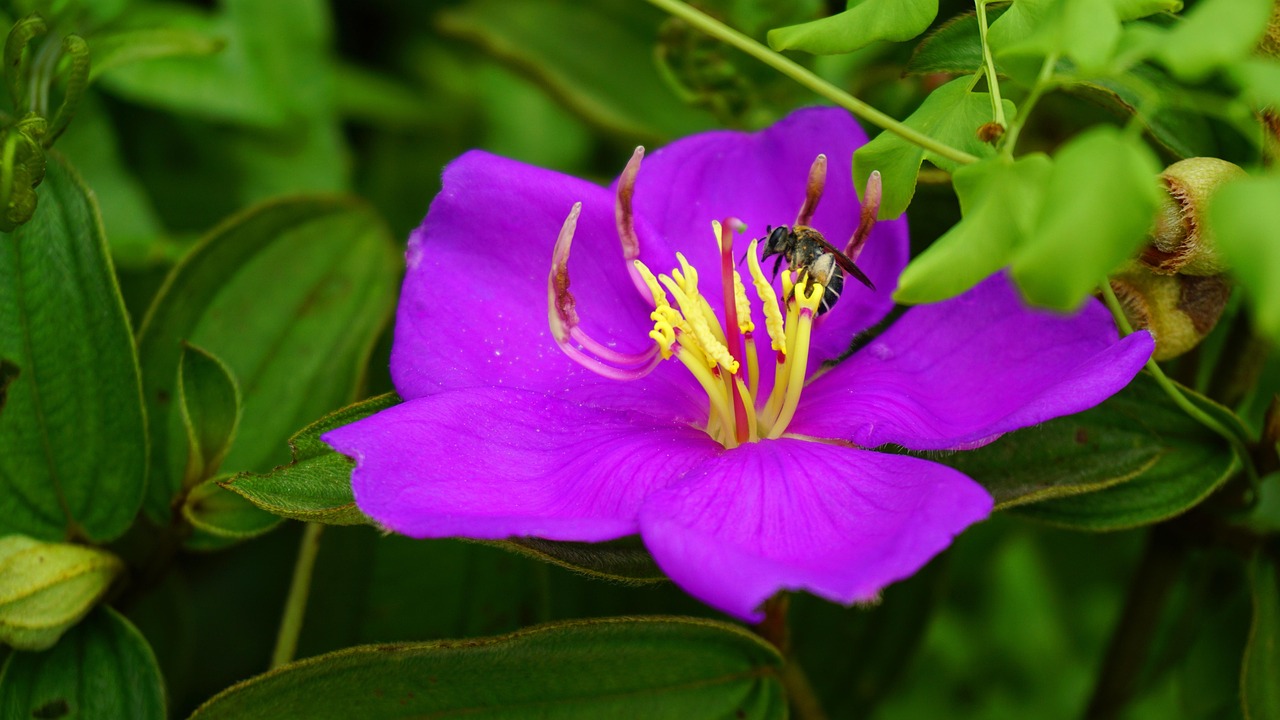 格安SIMを選んだ人が語る口コミと後悔とは？